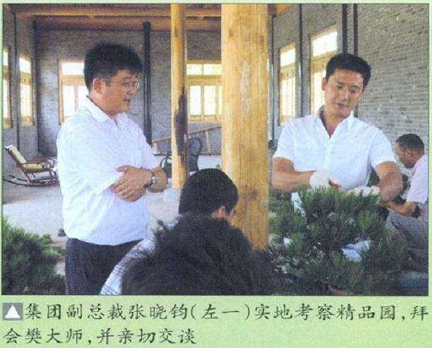 樊顺利来唐苑指导盆景创作的过程 图片