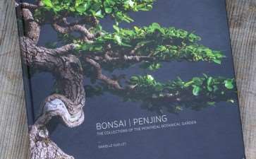 盆景新书《bonsai penjing》出版 图片