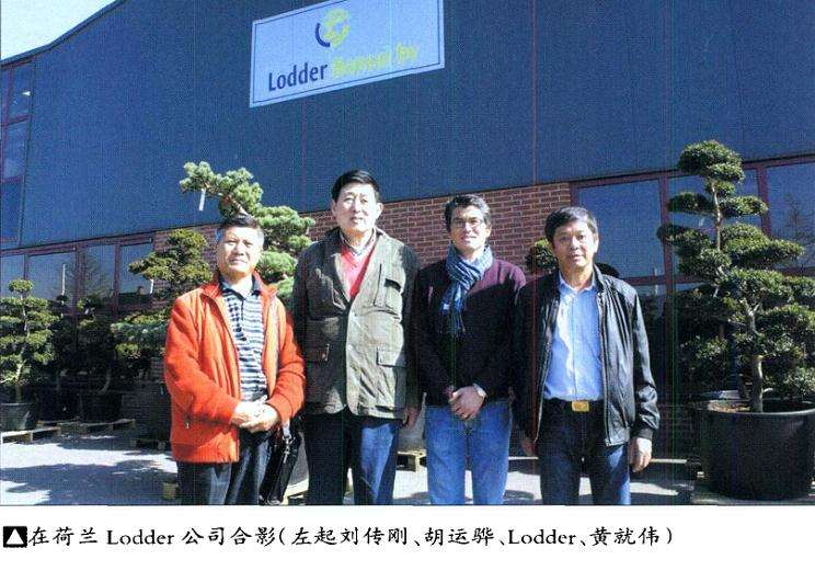 欧洲盆景交流会