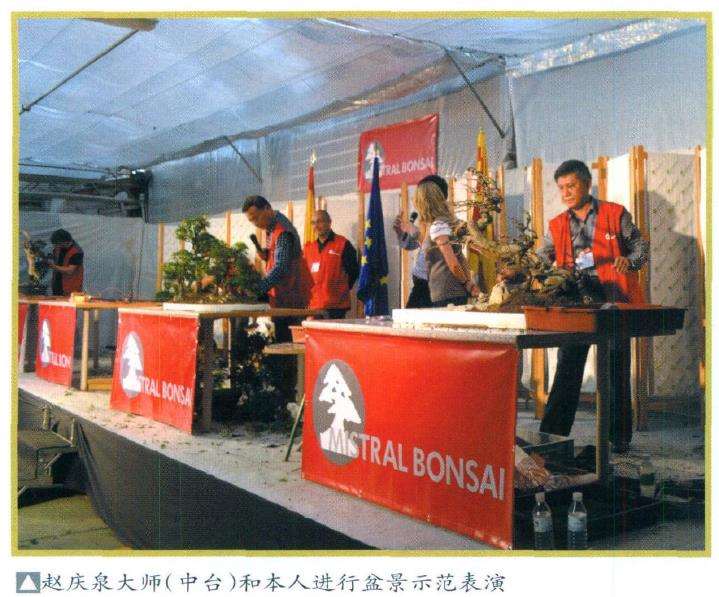 欧洲盆景交流会