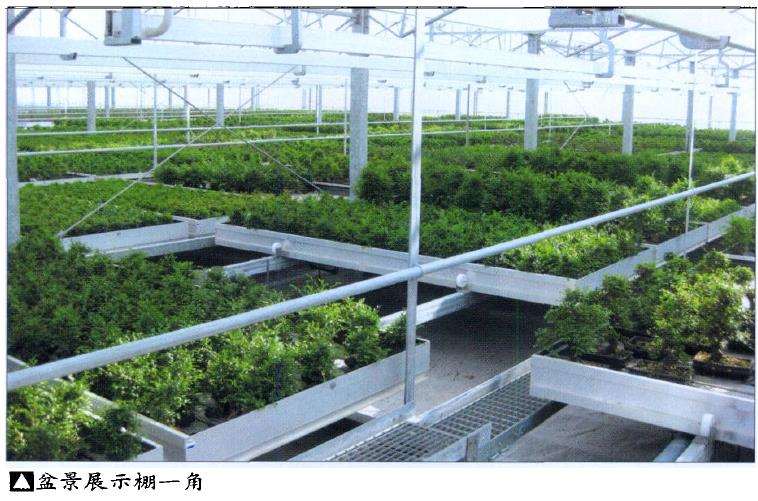 2011年 欧洲盆景交流会 图片