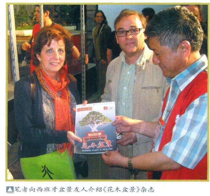 中国盆景产业要进行一场新的革命 图片