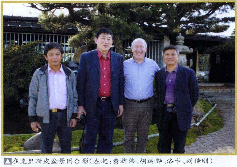 中国盆景产业要进行一场新的革命 图片