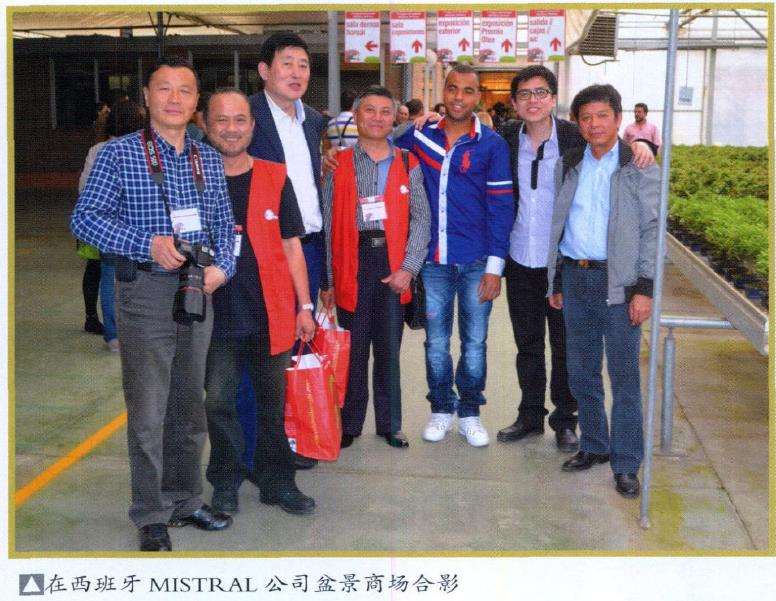 中国盆景产业要进行一场新的革命 图片