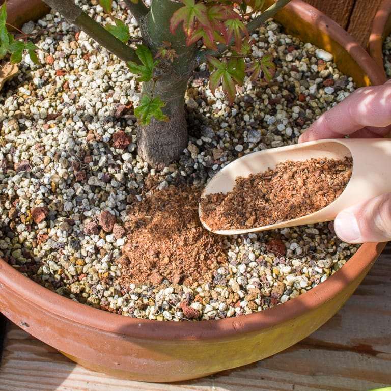 盆景肥料对水pH值的影响