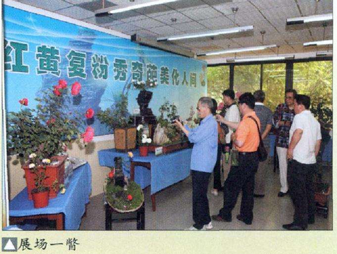 第三届北京月季盆景展