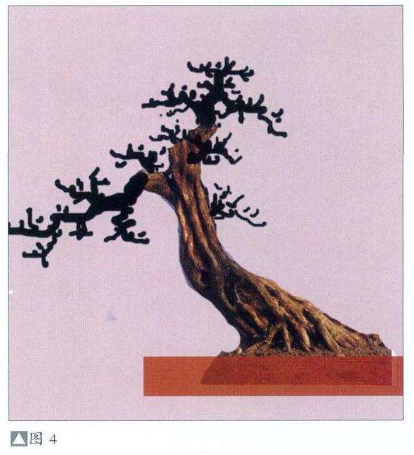 盆景怎么选材截桩的4个步骤 图片