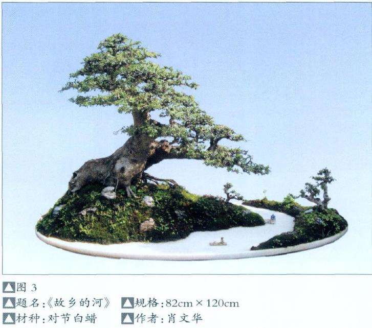 对节白蜡水旱盆景怎么制作的方法