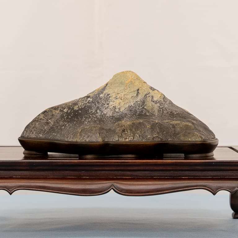 在湾区水石和小品盆景秀上观赏石头