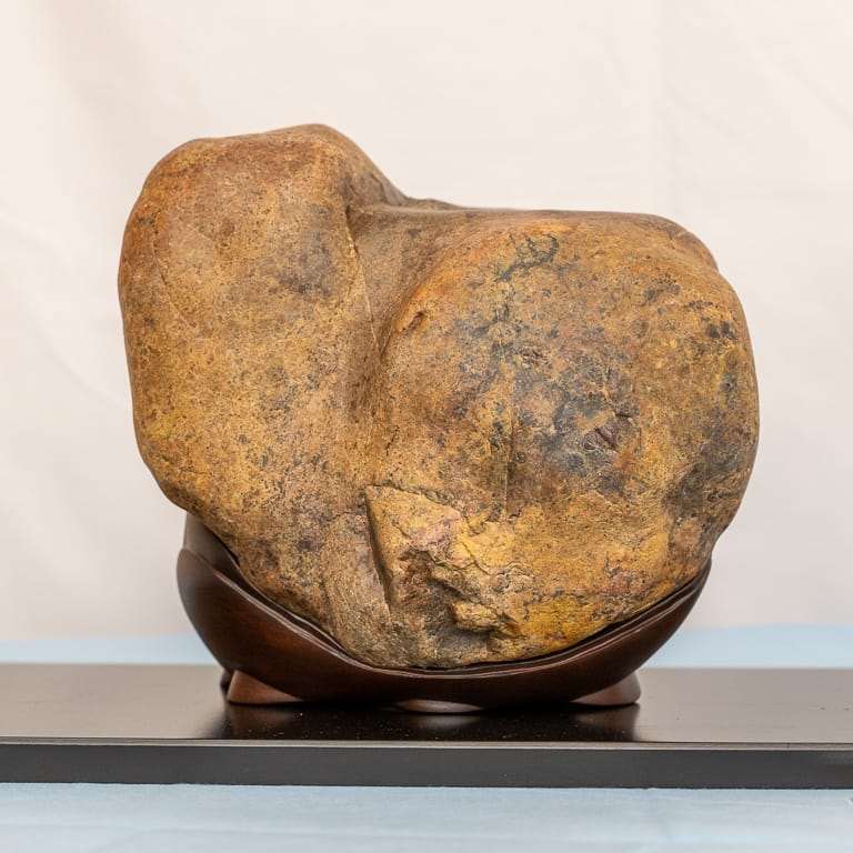 在湾区水石和小品盆景秀上观赏石头