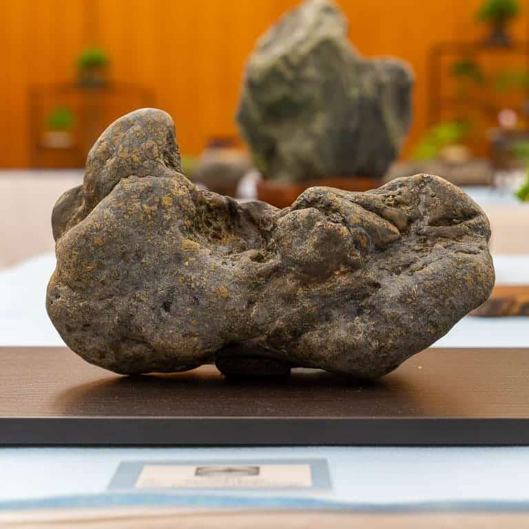 在湾区水石和小品盆景秀上观赏石头