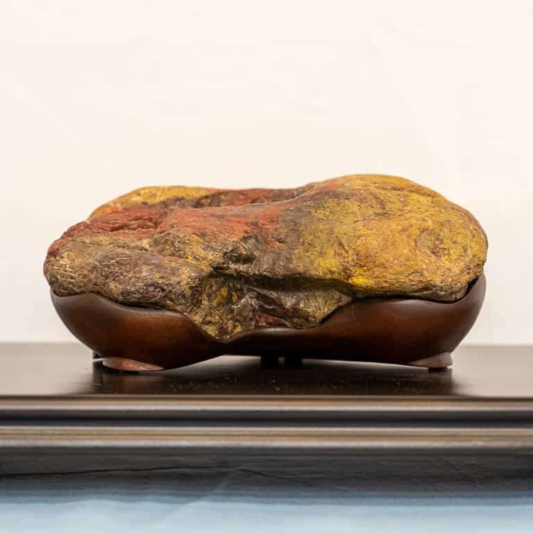 在湾区水石和小品盆景秀上观赏石头