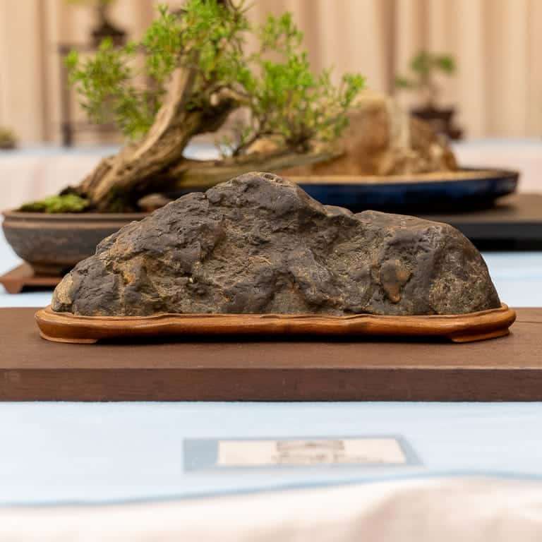 在湾区水石和小品盆景秀上观赏石头