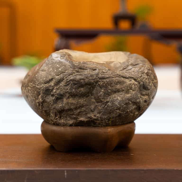 在湾区水石和小品盆景秀上观赏石头