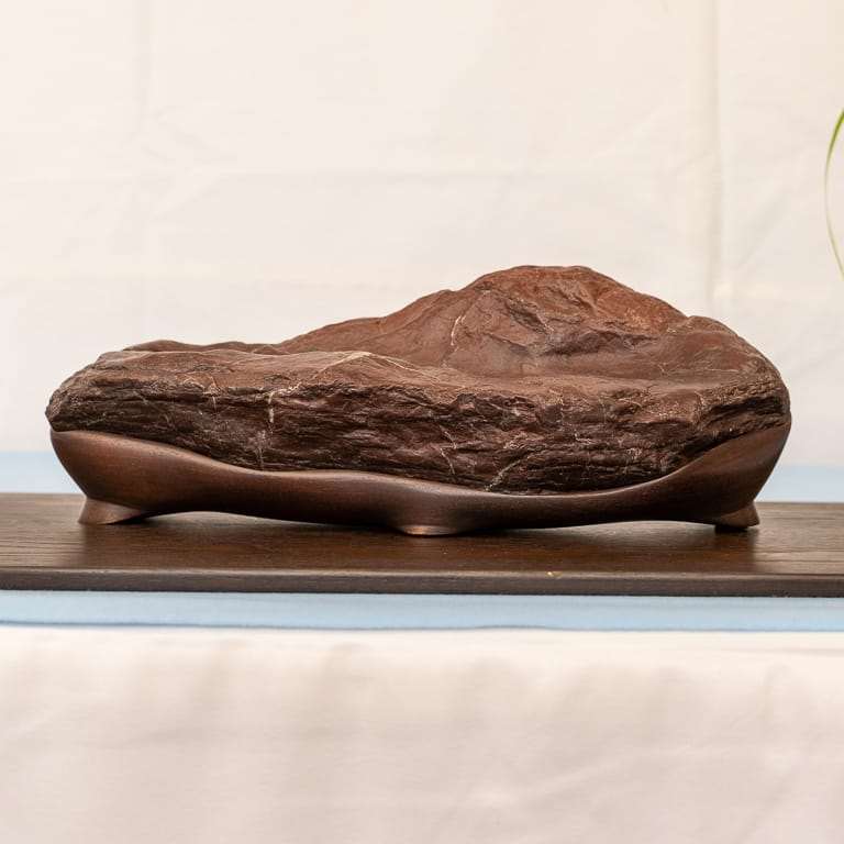 在湾区水石和小品盆景秀上观赏石头