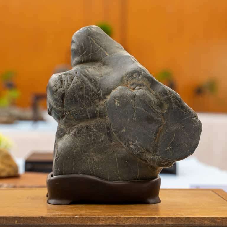 在湾区水石和小品盆景秀上观赏石头