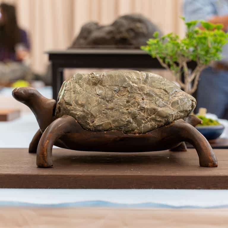 在湾区水石和小品盆景秀上观赏石头