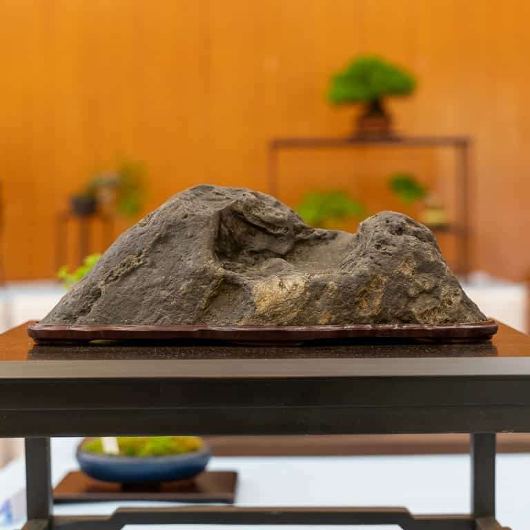 在湾区水石和小品盆景秀上观赏石头