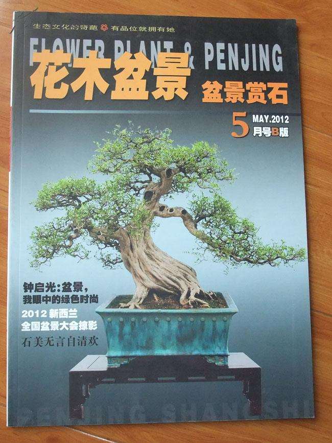 《花木盆景》盆景赏石版第4期 图片