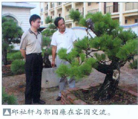 泉州谢继书浸润盆景数十载 图片