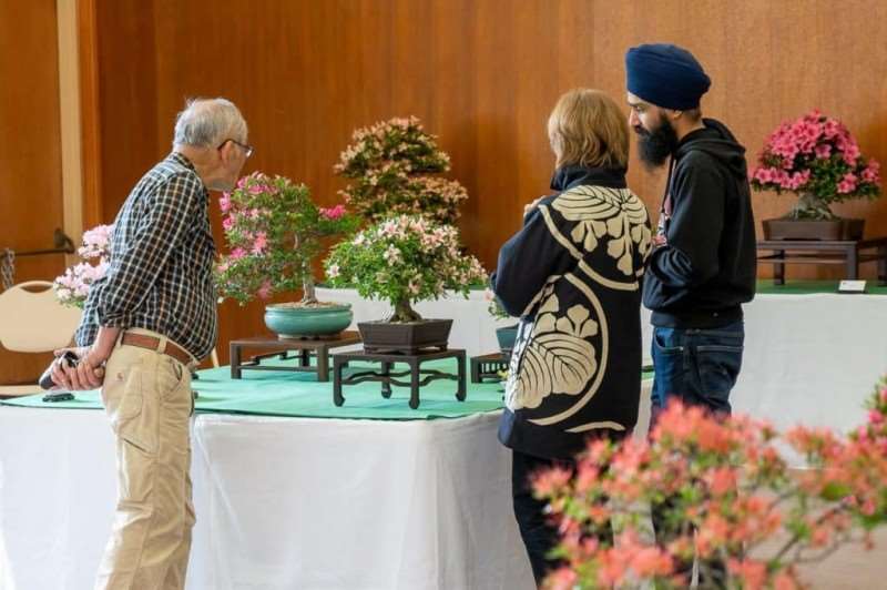 湾区小月盆景会 2019年展览报告 图片