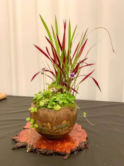 2019 休斯顿河口盆景展览 图片