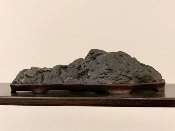 仔细观察河口展览上的盆景 图片