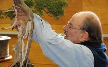 美国盆景艺术家-Chase Rosade