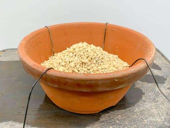 图解 小月盆景怎么换盆的21个过程