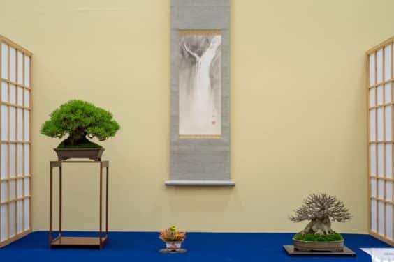 2019 Gafu-10 小品盆景展 图片