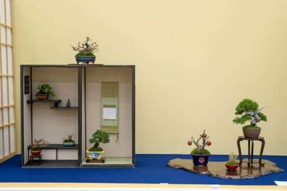 2019 Gafu-10 小品盆景展 图片