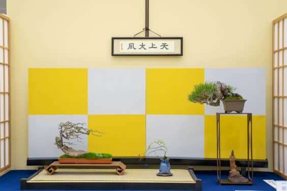 2019 Gafu-10 小品盆景展 图片