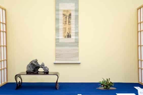 2019 雅府十所的小品盆景展 图片