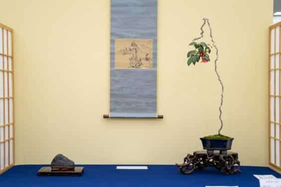 2019 雅府十所的小品盆景展 图片