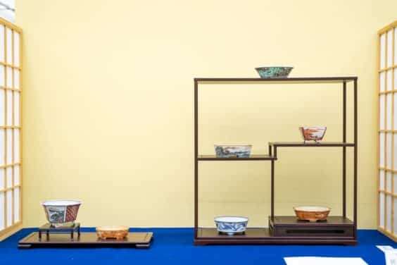 2019 雅府十所的小品盆景展 图片