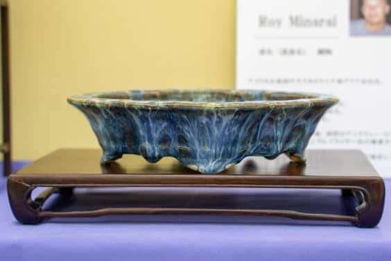 2019 雅府盆景盆子展 图片