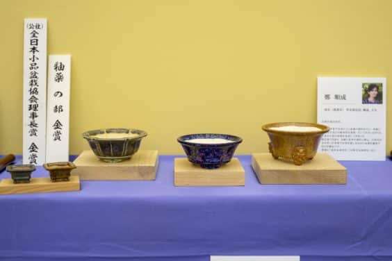 2019 雅府盆景盆子展 图片