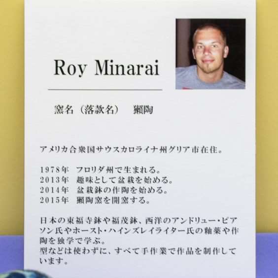 2019 雅府盆景盆子展 图片