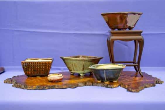 2019 雅府盆景盆子展 图片