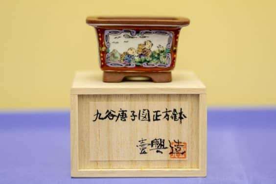 2019 雅府盆景盆子展 图片