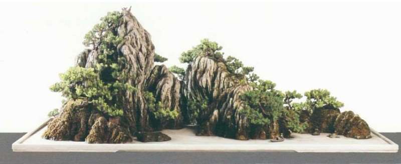 动势盆景的自然的神韵有哪些 图片