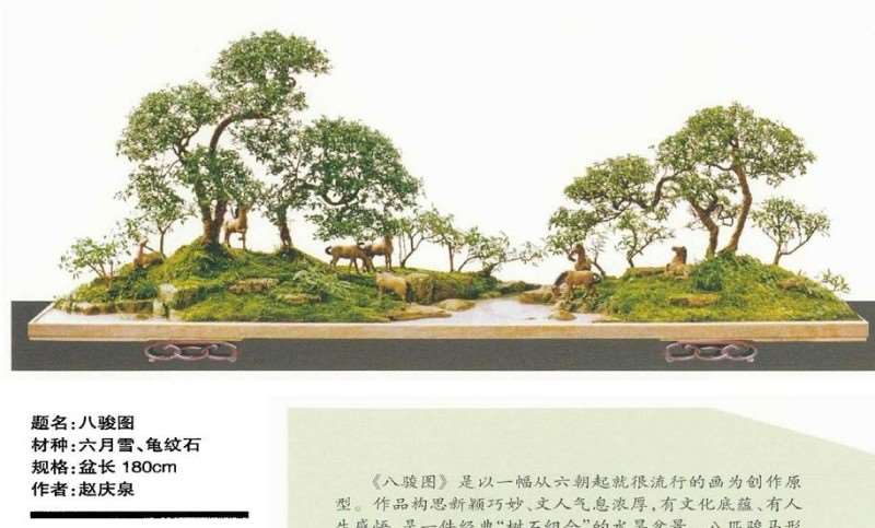 动势盆景写意的效果有哪些 图片