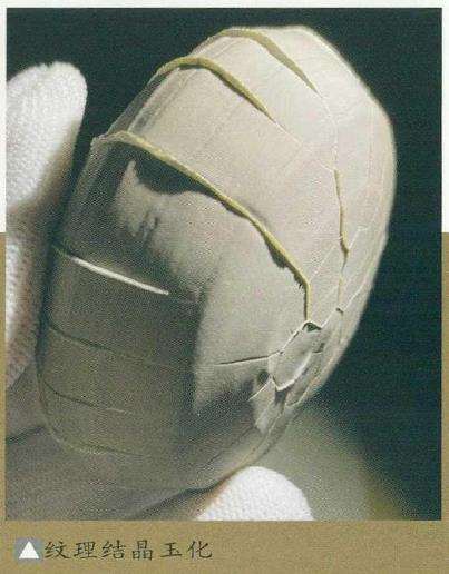 教你怎么分辨真假龟纹石