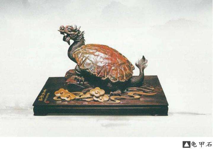 教你怎么分辨真假龟纹石的5个方法 图片