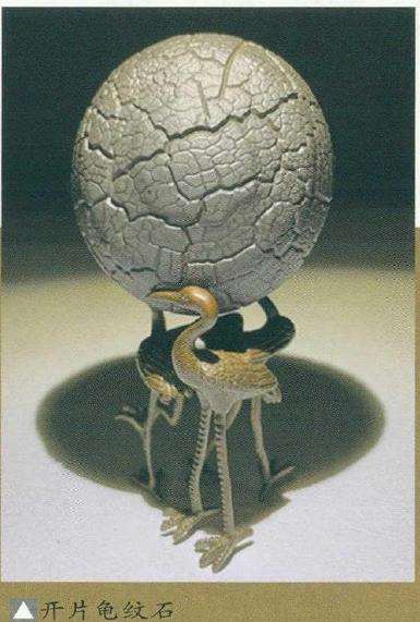 教你怎么分辨真假龟纹石