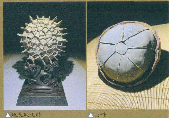 教你怎么分辨真假龟纹石