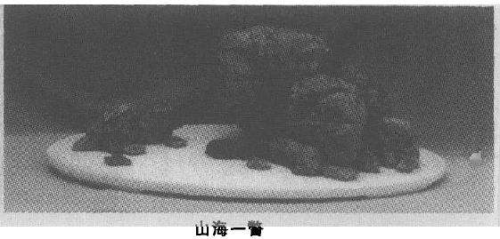 龟纹石单体盆景怎么创作