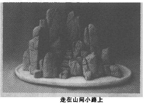 龟纹石单体盆景怎么创作