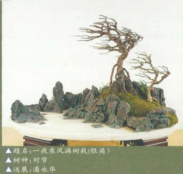 湖北盆景参加2021年第十届花博会