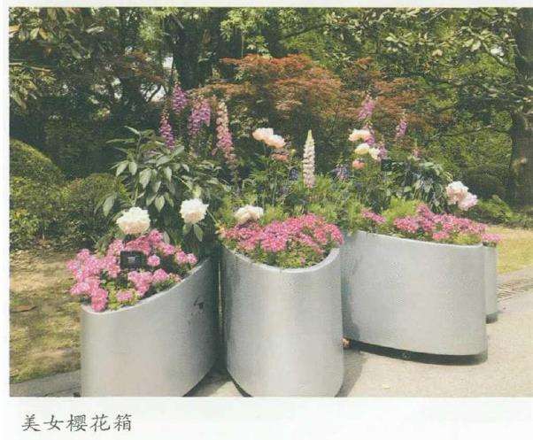 美女樱园林风景中的7个应用